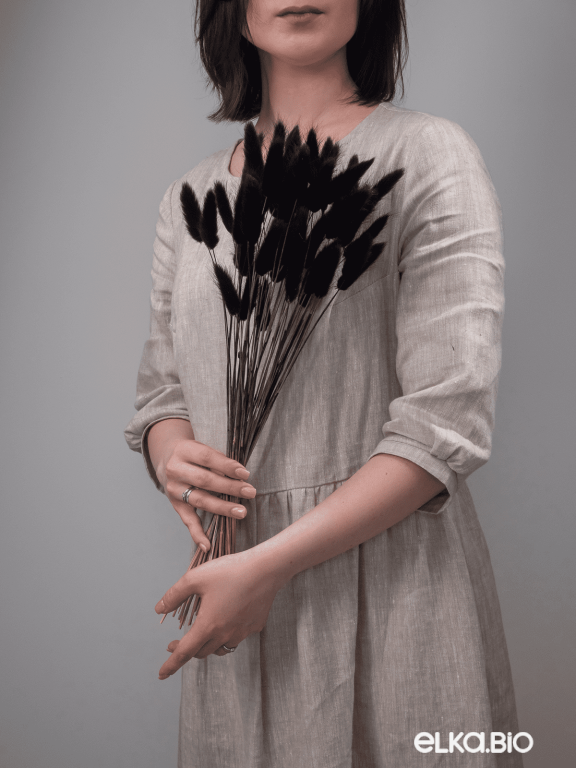 Лагурус черный первый сорт - 300 шт