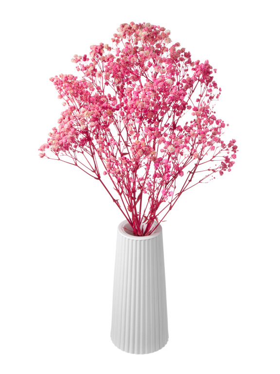 Гипсофила стабилизированная розовая 50 гр. высший сорт М176