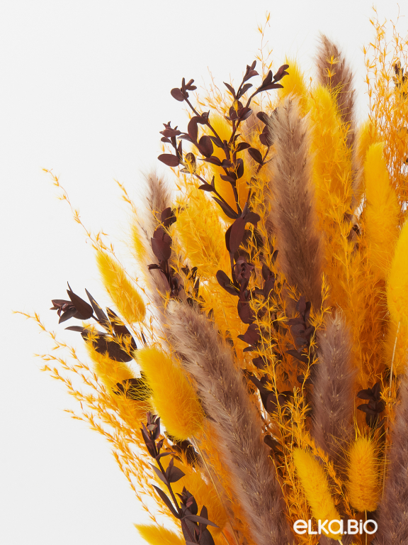 Яркий набор сухоцветов М093