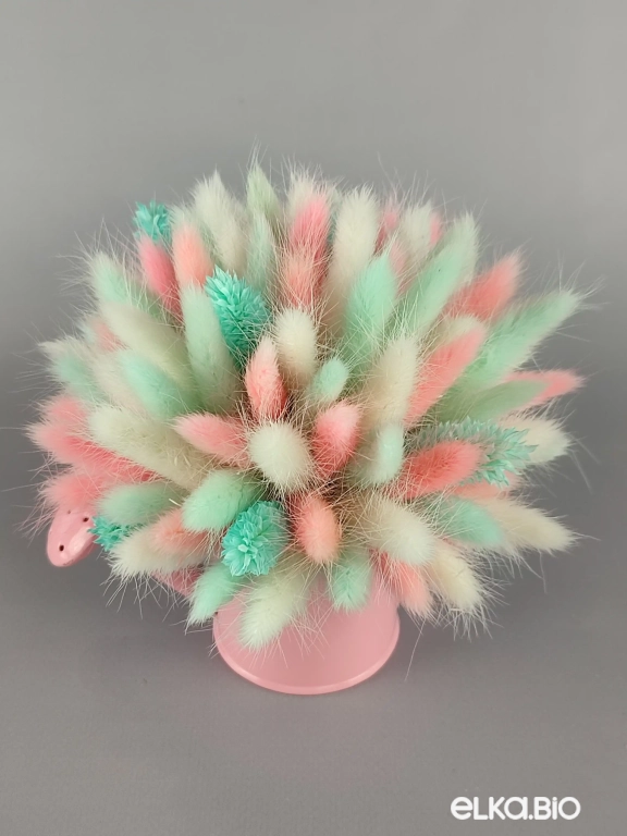 Цветы лагуруса и фаляриса в лейке А102-B100