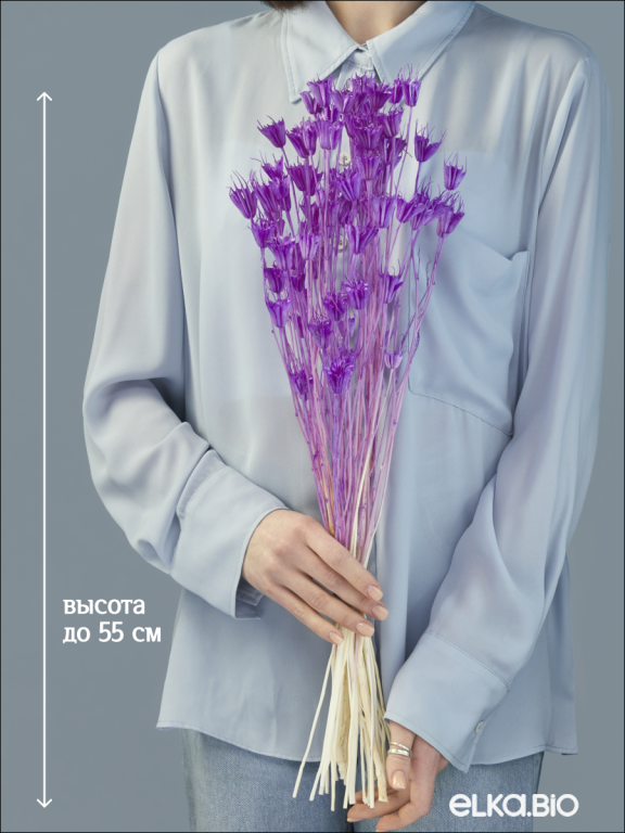 Нигелла фиолетовая 50г. Высший сорт. Высота 40-55 см. М412