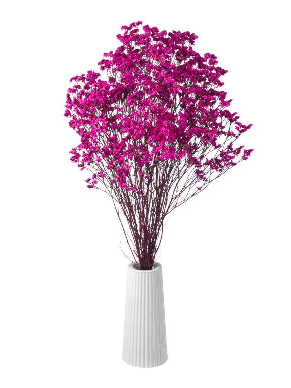 Цветы лимониума фуксия (80г) М222 Цветы лимониума фуксия (80г) М222