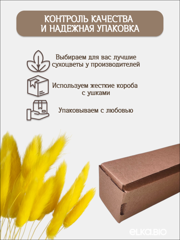 Лагурус жёлтый 30 шт. Высший сорт. Высота 25-35 см М474