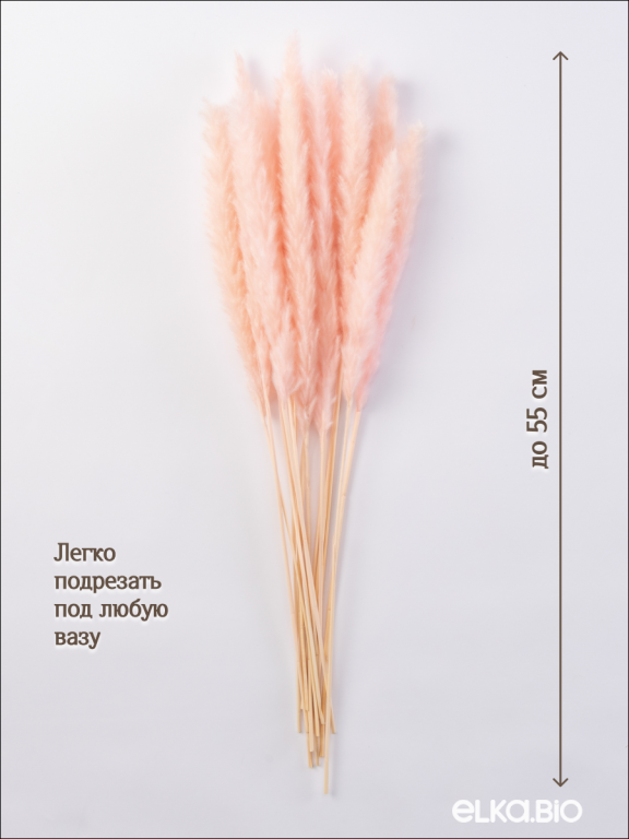 Пампас мини светло-розовый 15 шт. Высший сорт. Высота 40-50 см. М033