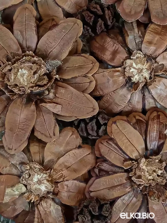 Венок декоративный из шишек Цветочная роса П16-В15