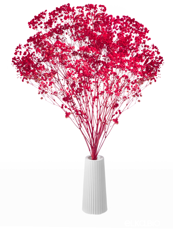 Гипсофила красная 140г. Высший сорт - стабилизированная М162