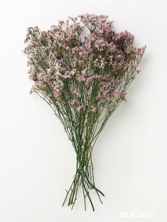 Цветы лимониума сиреневые (80г) М221 Цветы лимониума сиреневые (80г) М221