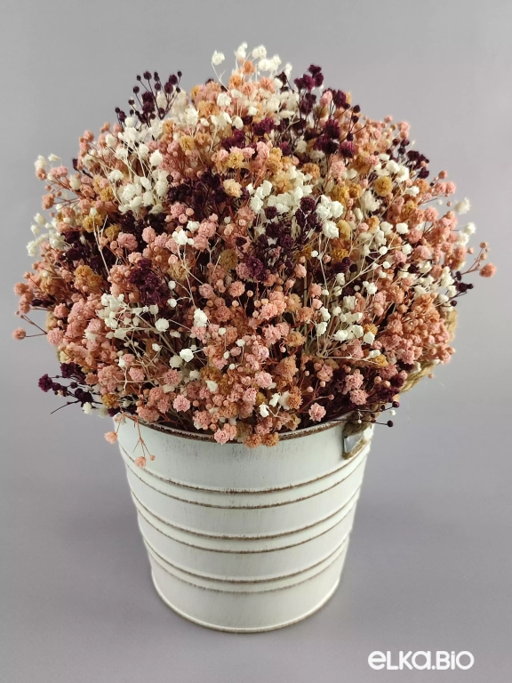 Букет цветов гипсофилы в ведерке Б49-B101