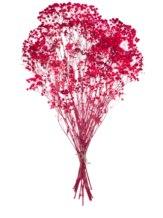 Гипсофила красная 140г. Высший сорт - стабилизированная М162