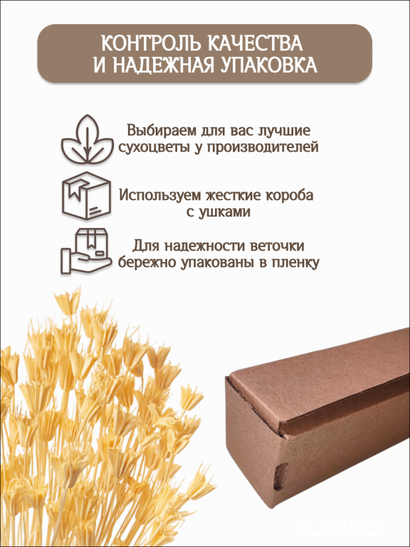 Нигелла светло -  оранжевая 50г. Высший сорт. Высота 40-55 см. М406