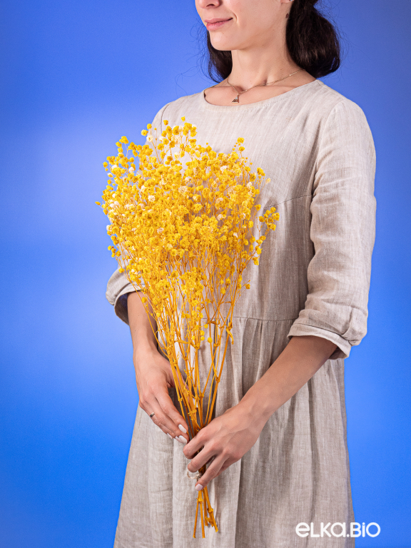 Гипсофила стабилизированная жёлтая 550 гр. первый сорт М5160