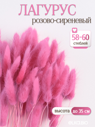 Лагурус розово-сиреневый 60 шт. Высший сорт. Высота 25-35 см М247