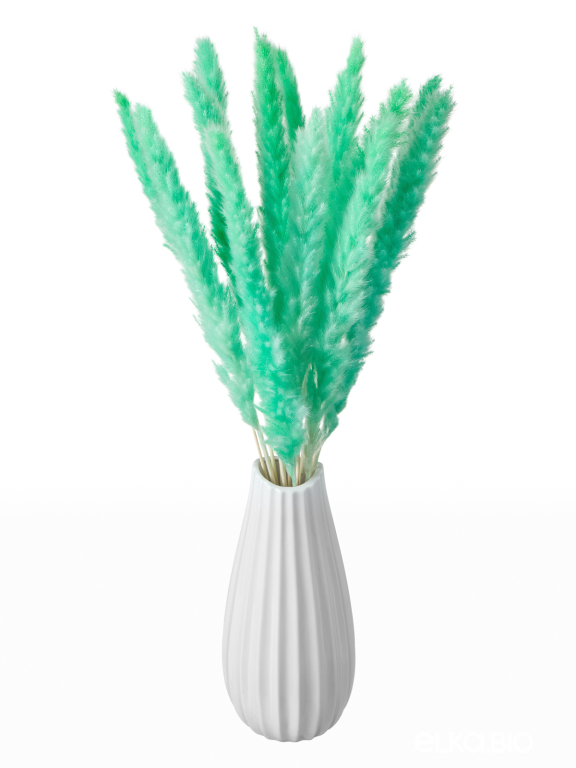 Трава сухоцвет пампас мини 90 шт. зелёно-бирюзовый первый сорт