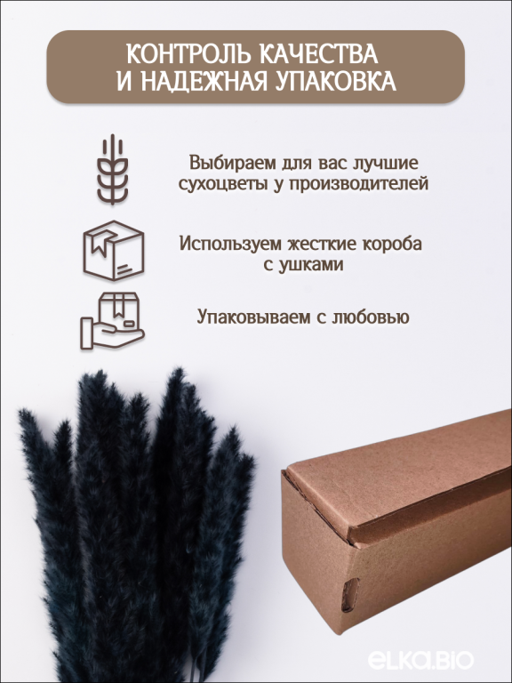 Пампас мини черный 15 шт. Высший сорт. Высота 40-50 см. М037