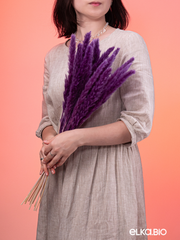 Трава сухоцвет пампас мини 15 шт. фиолетовый высший сорт