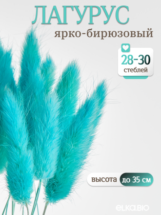 Лагурус ярко-бирюзовый 30 шт. Высший сорт. Высота 25-35 см М491