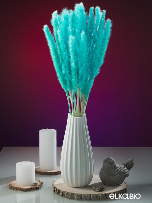 Трава сухоцвет пампас мини 15 шт. ярко-бирюзовый высший сорт