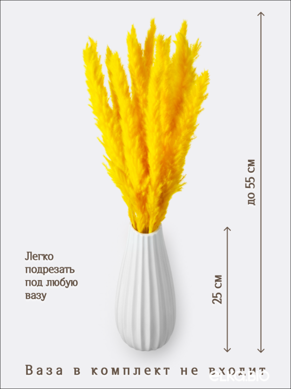 Пампас мини жёлтый 15 шт. Высший сорт. Высота 40-50 см. М137