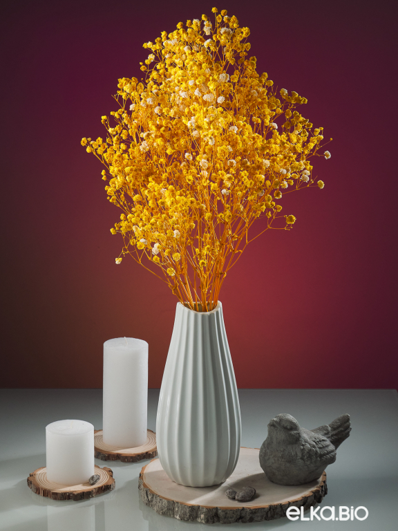 Гипсофила стабилизированная жёлтая 550 гр. первый сорт М5160