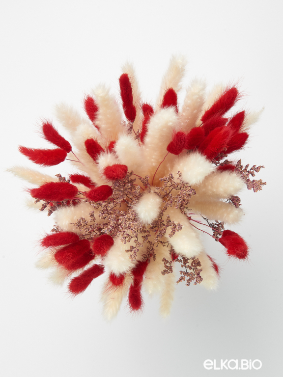 Набор сухоцветов для творчества М084