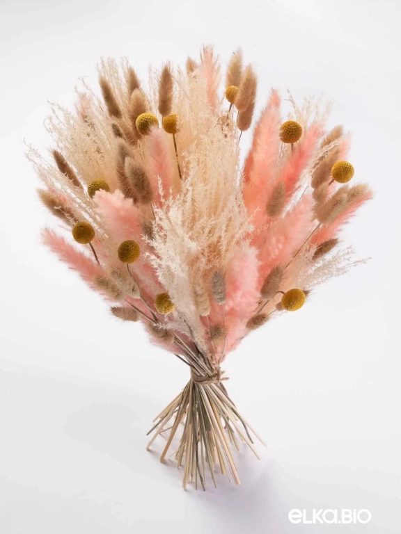 Сухоцветы для декора интерьера. Набор М079