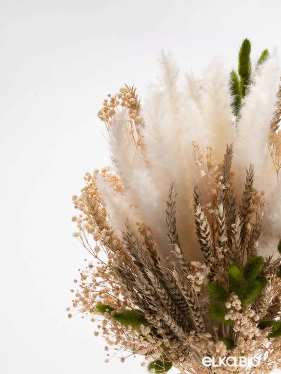 Сухоцветы для декора, гипсофила, пшеница, пампасная трава мини, лагурус. Набор М096