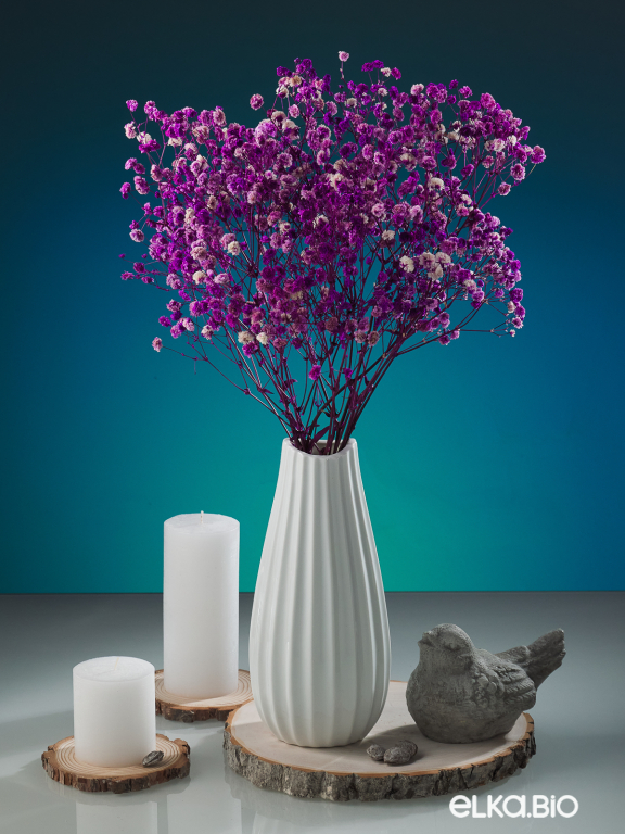 Гипсофила стабилизированная розово-фиолетовая 140 гр. высший сорт М167