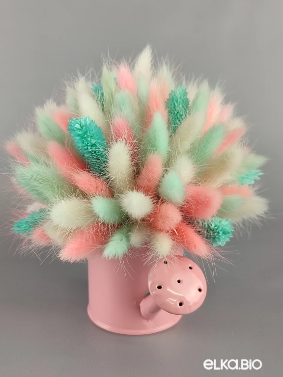 Цветы лагуруса и фаляриса в лейке А102-B100