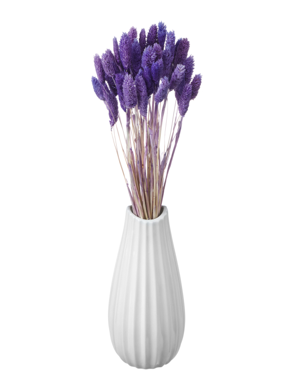 Фалярис сиреневый (40шт) М115