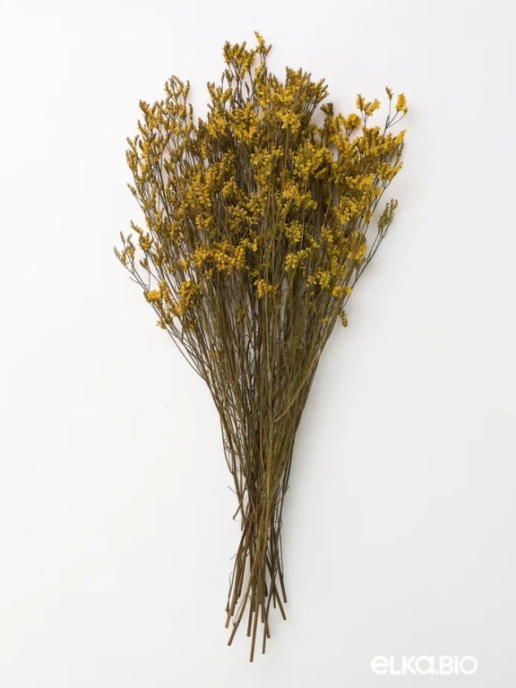 Цветы лимониума жёлтые (80г) М216