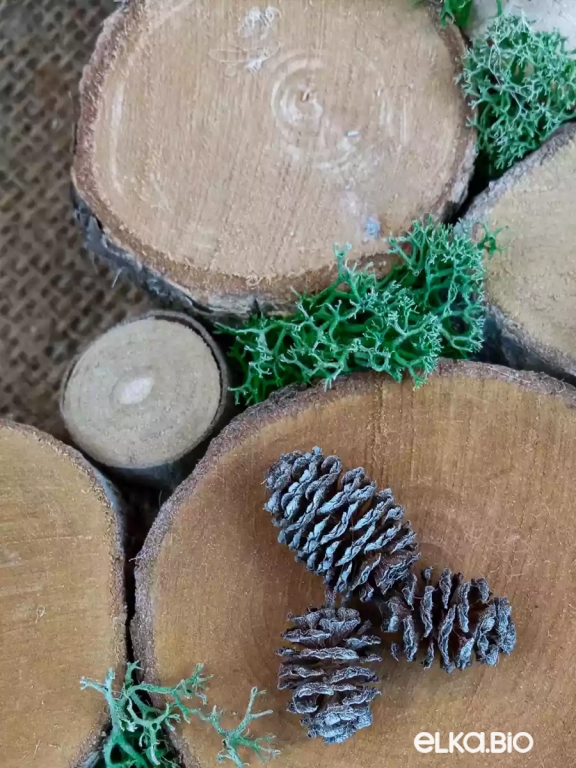 Венок декоративный из спилов Морозный лес (маленький) П12-В16