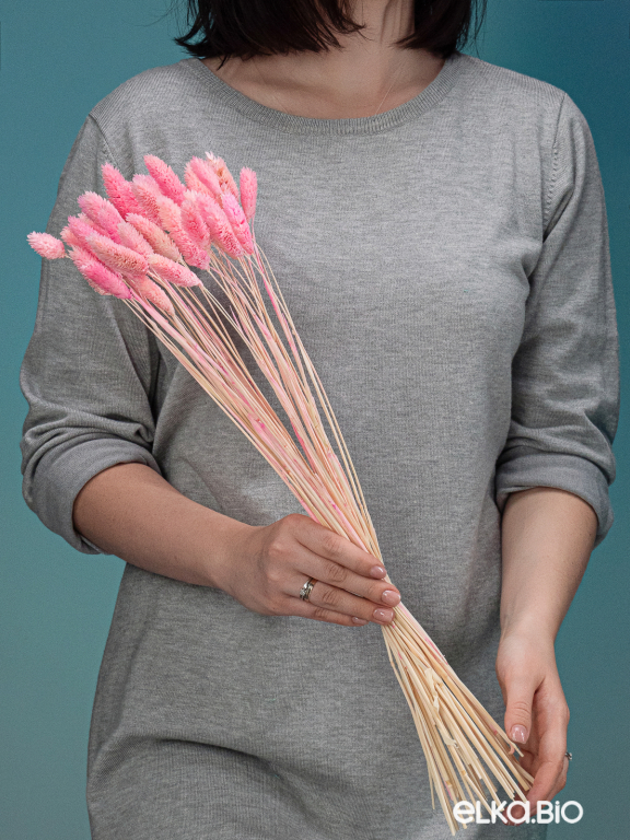 Фалярис светло-розовый (40шт) М112