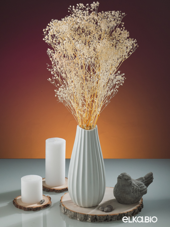 Гипсофила стабилизированная белоснежная 140 гр. высший сорт М157