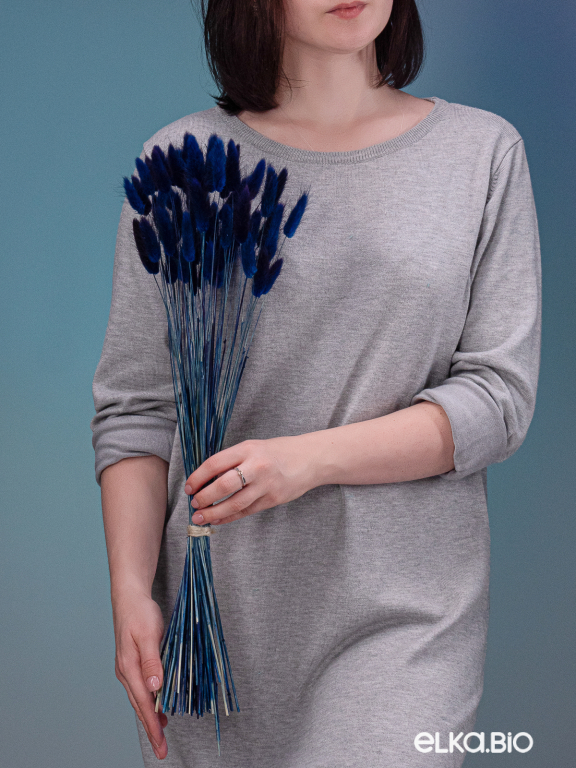 Лагурус тёмно-синий высший сорт - 60 шт