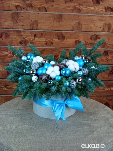 Новогодняя композиция из Нобилиса Королева Анна Ю52-В714