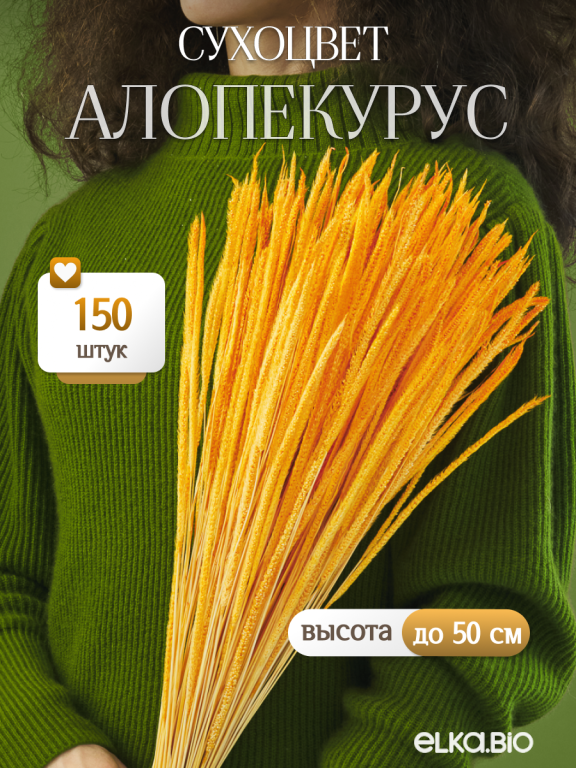 Алопекурус (тимофеевка) оранжевый 150 шт. Высший сорт - до 50 см  М450