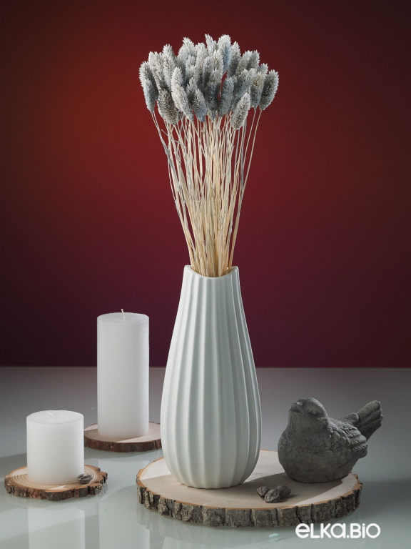 Фалярис серый (40шт) М113