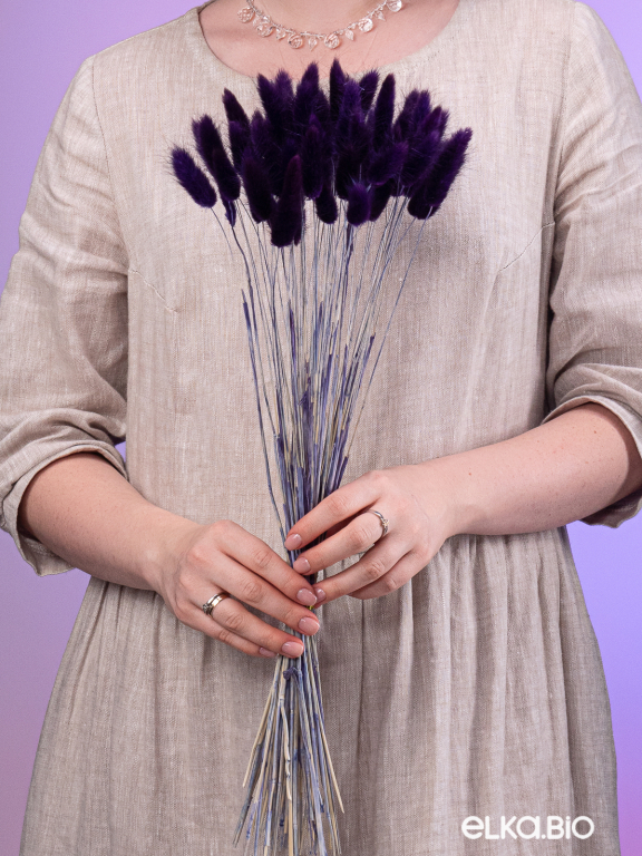 Лагурус фиолетовый первый сорт - 300 шт