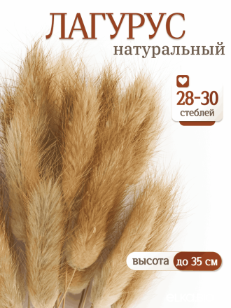 Лагурус натуральный 30 шт. Высший сорт. Высота 25-35 см М469