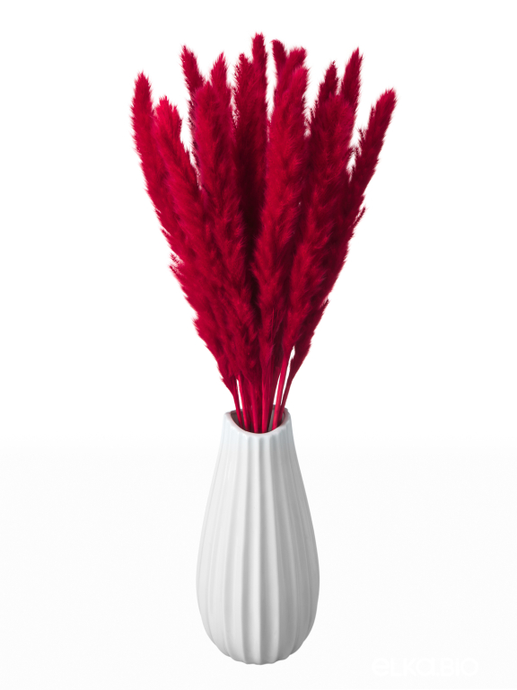 Трава сухоцвет пампас мини 15 шт. тёмно-красный высший сорт