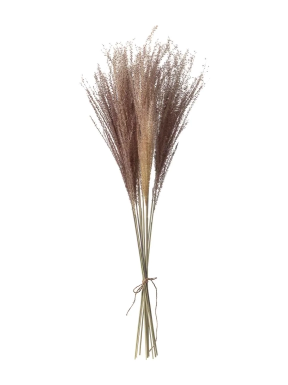 Мискантус натуральный (9-10 шт) М041 Мискантус натуральный (9-10 шт) М041