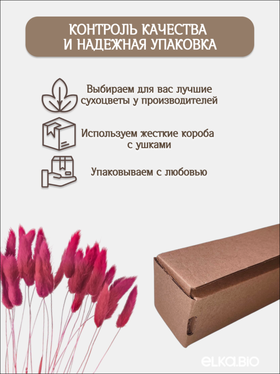 Лагурус фламинго 30 шт. Высший сорт. Высота 25-35 см М708