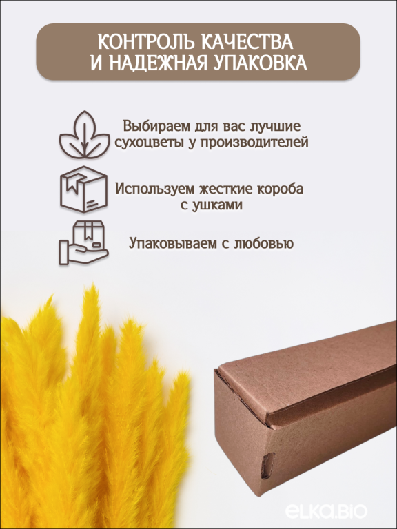 Пампас мини жёлтый 15 шт. Высший сорт. Высота 40-50 см. М137