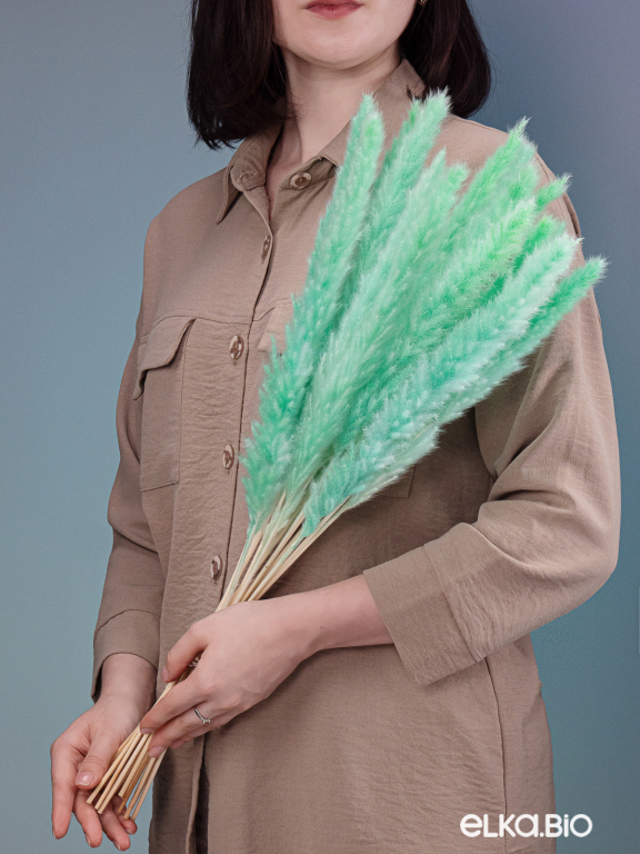 Трава сухоцвет пампас мини 90 шт. зелёно-бирюзовый первый сорт