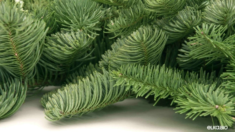 Лапник пихты Нобилис 5 кг.