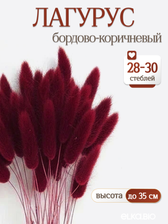 Лагурус бордово-коричневый 30 шт. Высший сорт. Высота 25-35 см М472