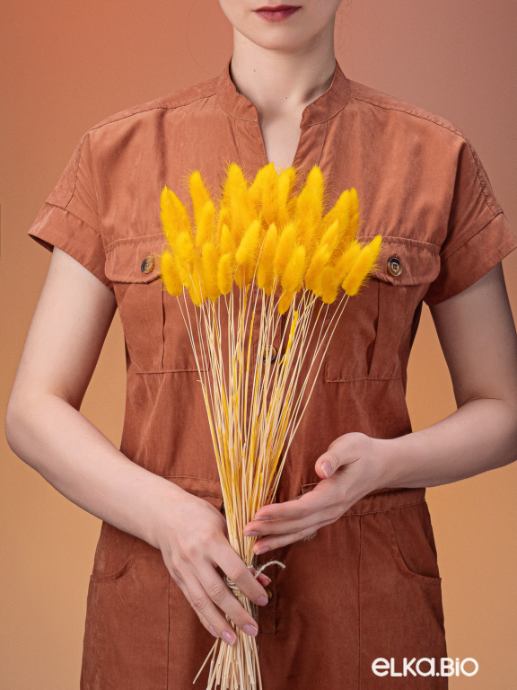 Лагурус тёмно-жёлтый первый сорт - 300 шт