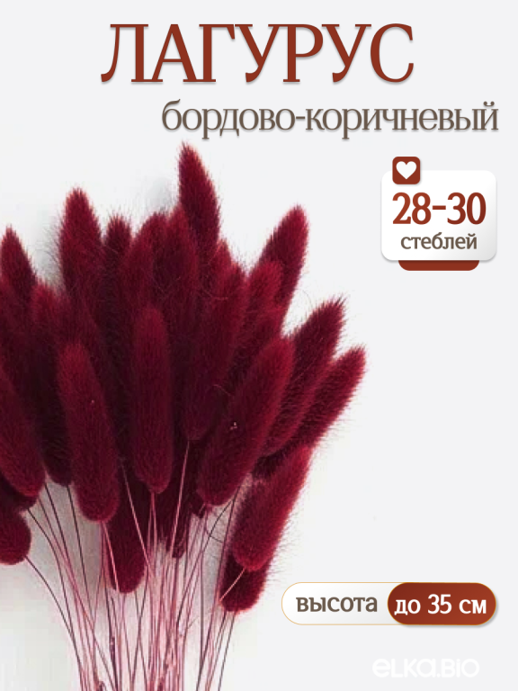 Лагурус бордово-коричневый 30 шт. Высший сорт. Высота 25-35 см М472