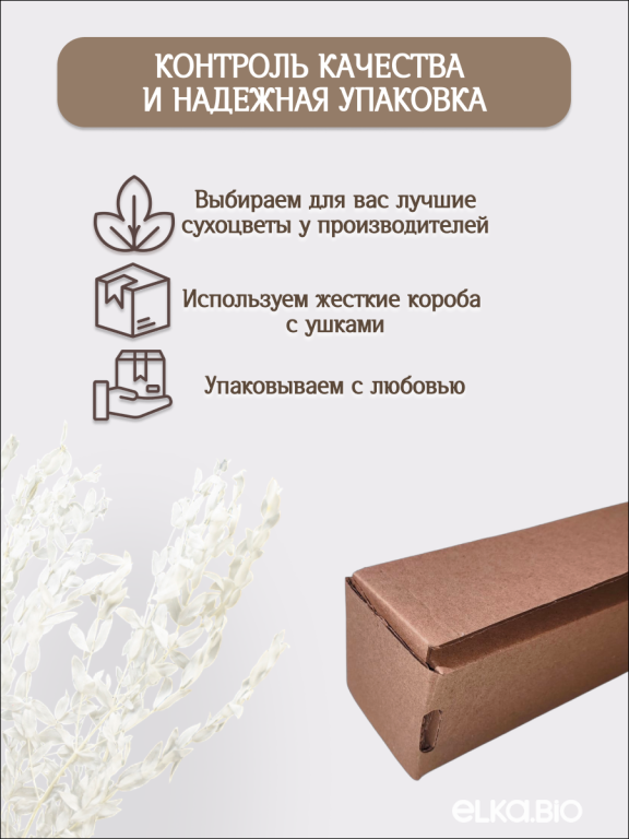 Эвкалипт Парвифолия белый 80г Высший сорт М673