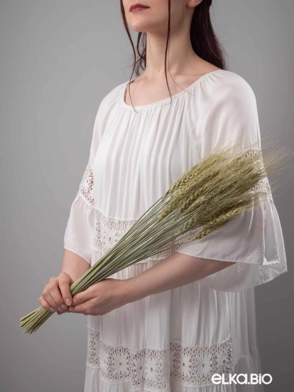 Пшеница зелёная (40 шт) М047 Пшеница зелёная (40 шт) М047